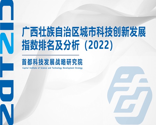 肥肥嫩嫩的小骚逼操操网【成果发布】广西壮族自治区城市科技创新发展指数排名及分析（2022）